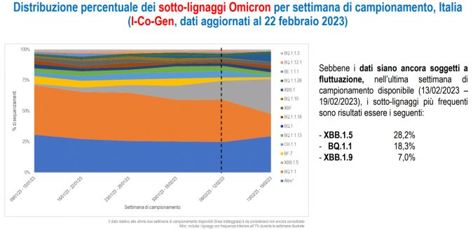 grafico varianti