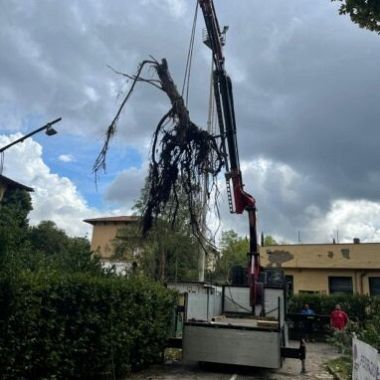 La rimozione di un albero caduto allo stadio di Antella